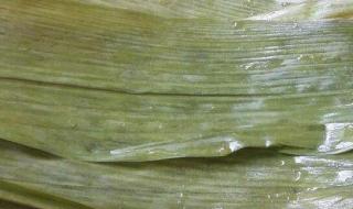 干粽叶一定要泡一夜吗