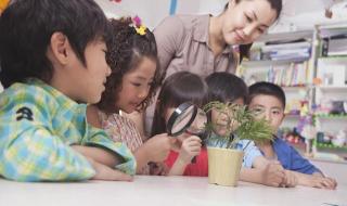 专科报名什么时候开始