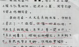 我的同学作文三年级