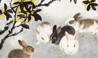 最笨的生肖是哪个生肖 最笨的生肖是哪个生肖