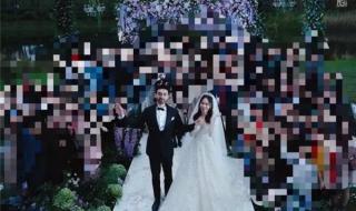  曝B站副总裁嫁UP主