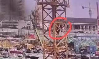 23岁网红塔吊女司机坠亡