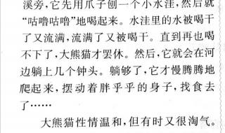 大熊猫的资料介绍三年级
