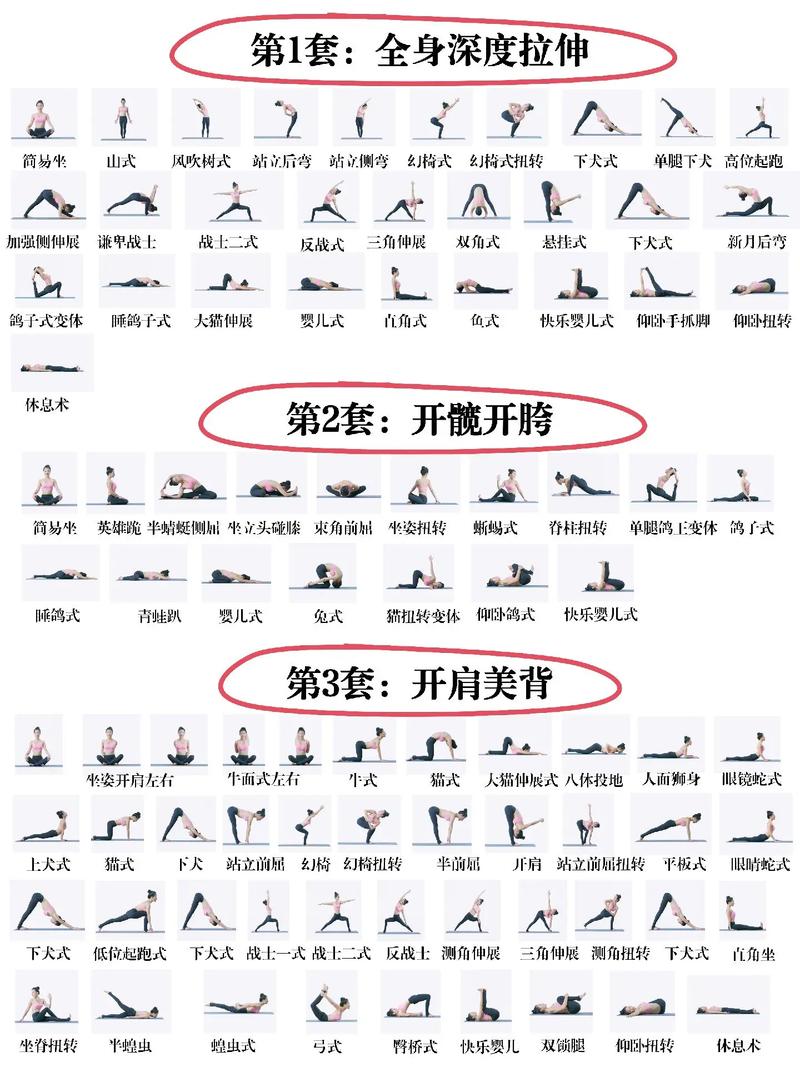 瑜伽教程(瑜伽教程初级全套完整)
