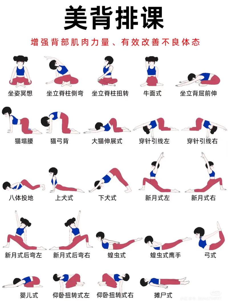 瑜伽教程(瑜伽教程初级全套完整)