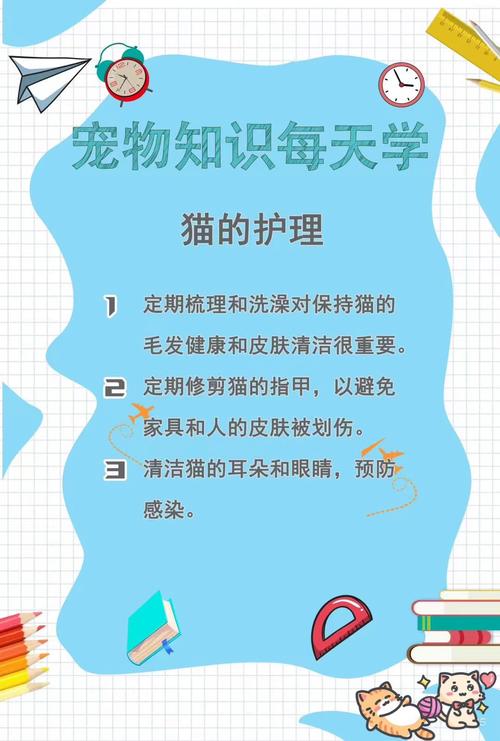 宠物日常（萌宠互动）（宠物日常小知识）