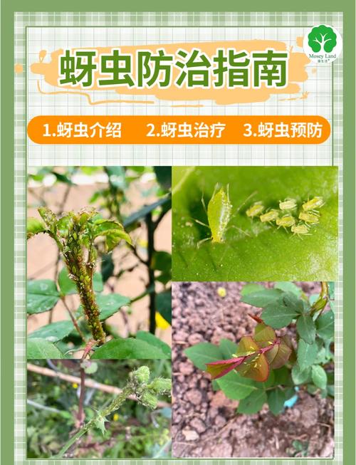 植物遭遇虫害的SOS信号(植物害虫的危害症状)