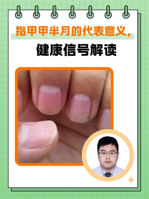 指甲生长速度与月相(指甲的增长速度一样么)