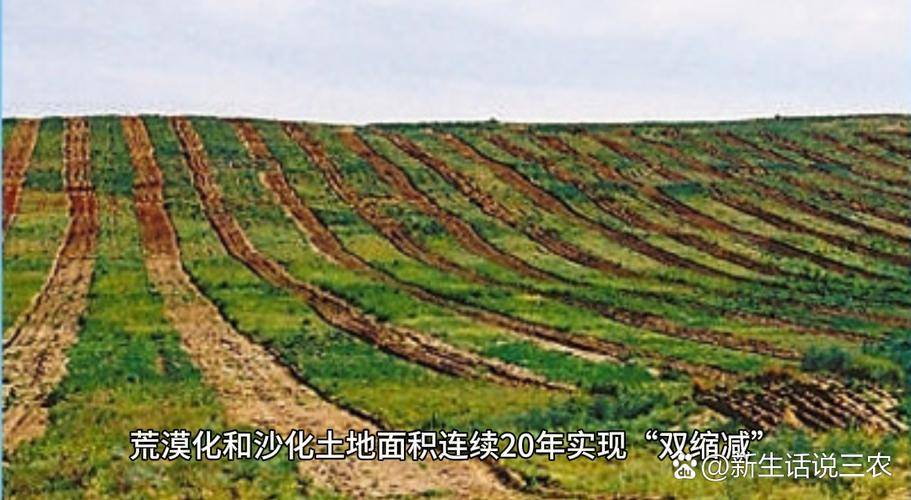 撒哈拉沙漠的周期性绿洲(撒哈拉沙漠变化)