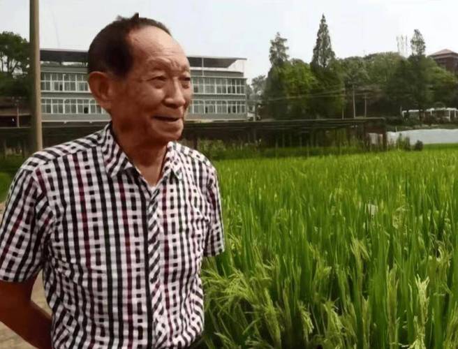 袁隆平墓上放着两碗米,这两碗米有什么意义 袁隆平墓上放了两碗米