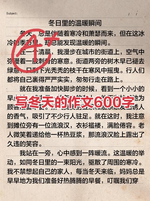 初中600字作文我和冬天有个约定 我爱冬季作文600字初二
