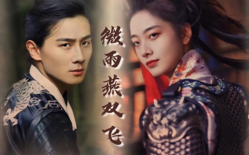 微雨双飞燕在哪个台播出 微雨双飞燕电视剧免费