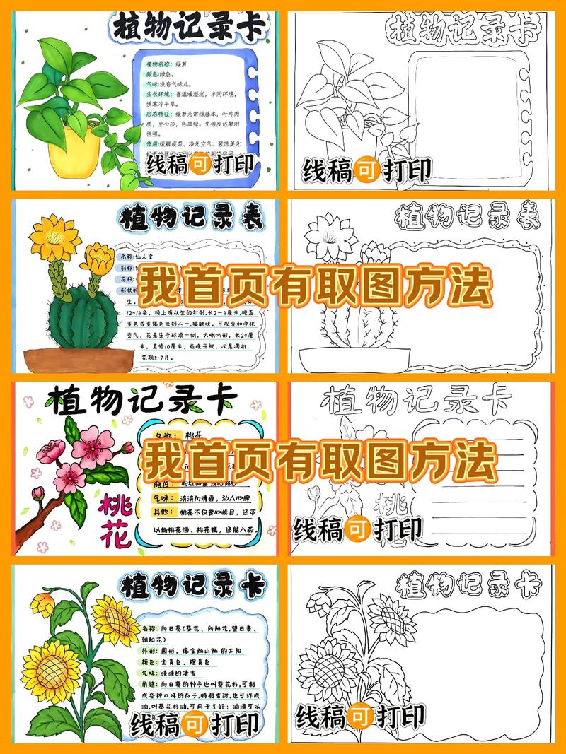 植物记录卡怎么做图片三年级 植物记录卡怎么做图片