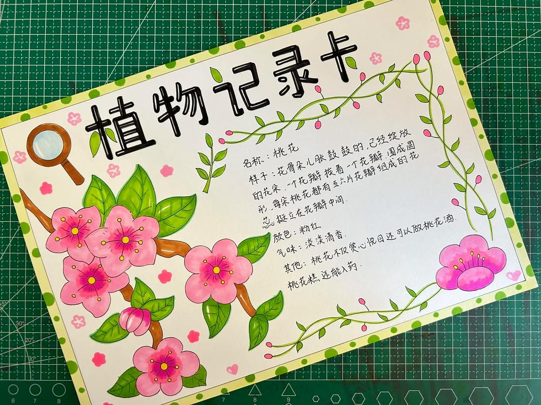 植物记录卡怎么做图片三年级 植物记录卡怎么做图片