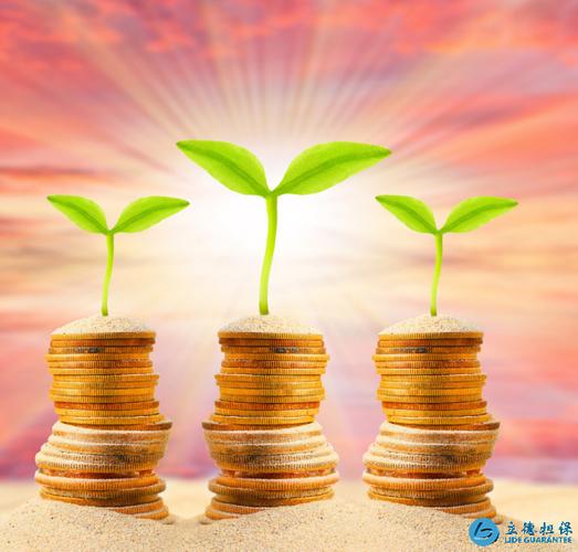 蓝丰生化:不存在逾期担保情况