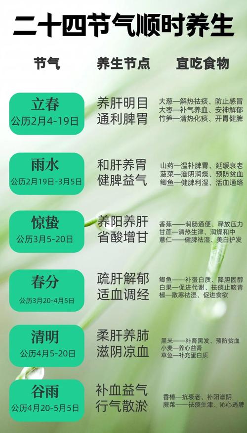 二十四节气养生全攻略（二十四节气养生秘笈）