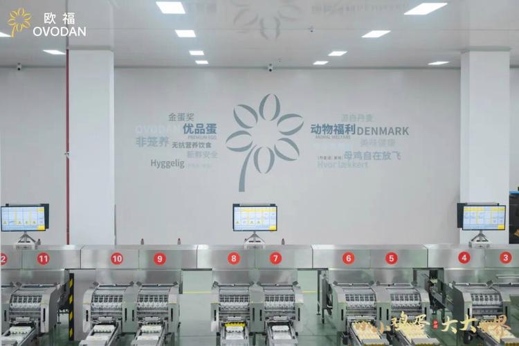 开源证券-欧福蛋业-920371-北交所信息更新：西南生产基地正式开业，加码壳蛋与非笼养蛋品-251108