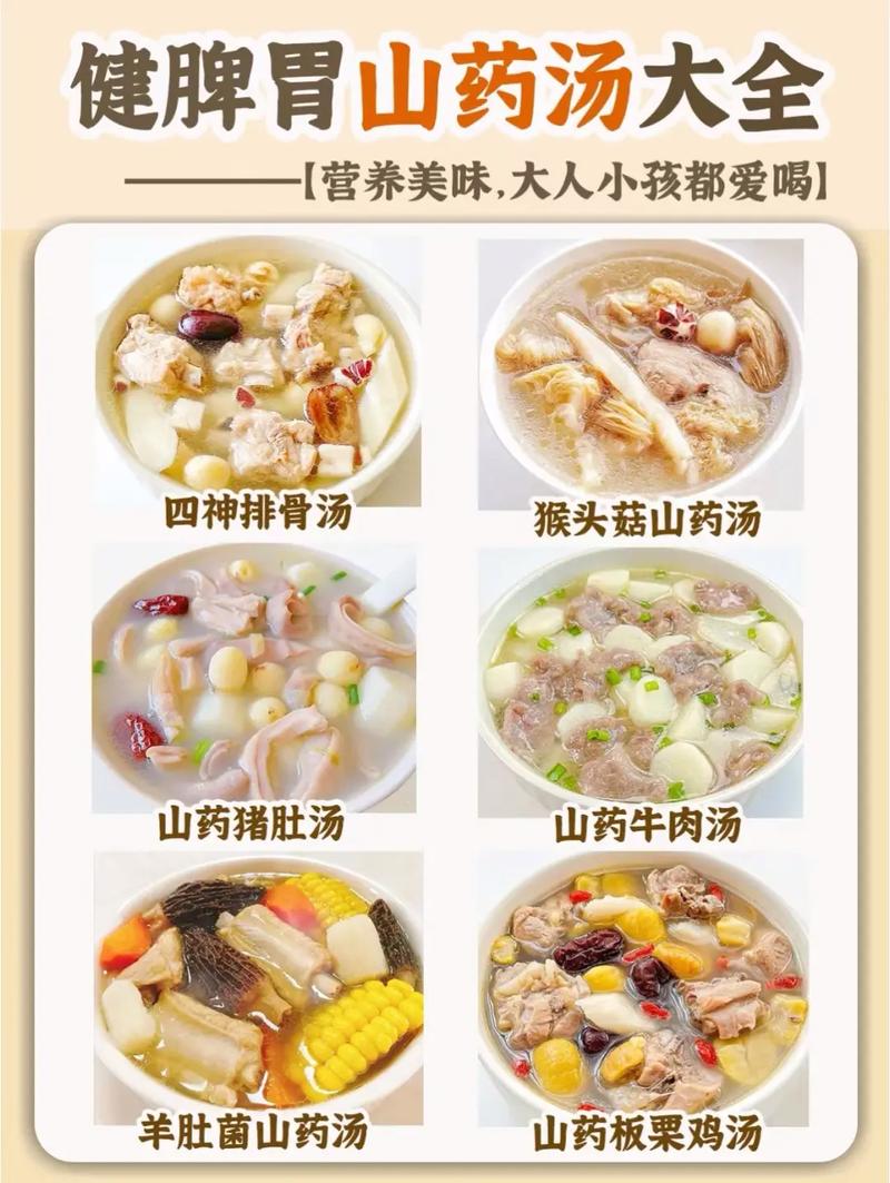 药膳同源家常食谱（药膳搭配大全）