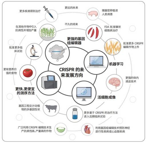 基因编辑技术（基因编辑技术英文）