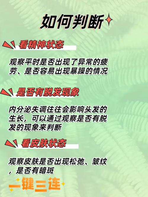 改善内分泌失调的饮食调理方案（内分泌失调食疗方法）