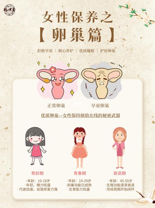卵巢保养的注意事项（卵巢保养的总结好处及话术）