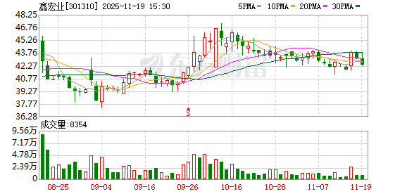 鑫宏业：不存在涉及逾期债务、诉讼的担保及因担保被判决败诉而应承担担保的情形